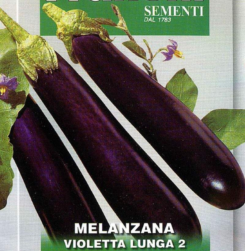 Aubergine, Melanzana Violetta Lunga 2, Samen