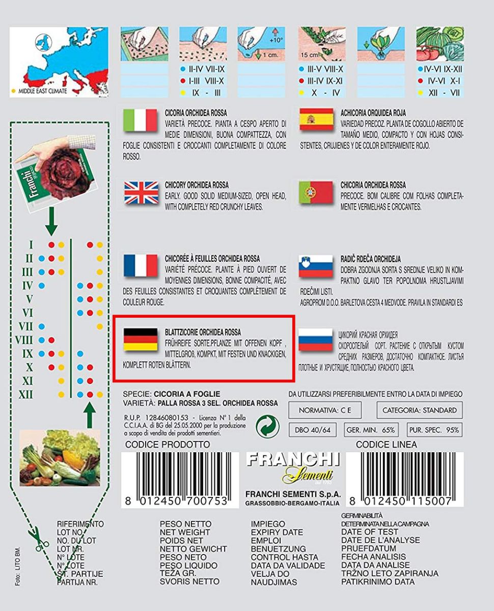 Schnittzichorie Orchidea Rossa, Cichorium intybus L., Samen, Info,Schnittzichorie Orchidea Rossa, Cichorium intybus L., Samen