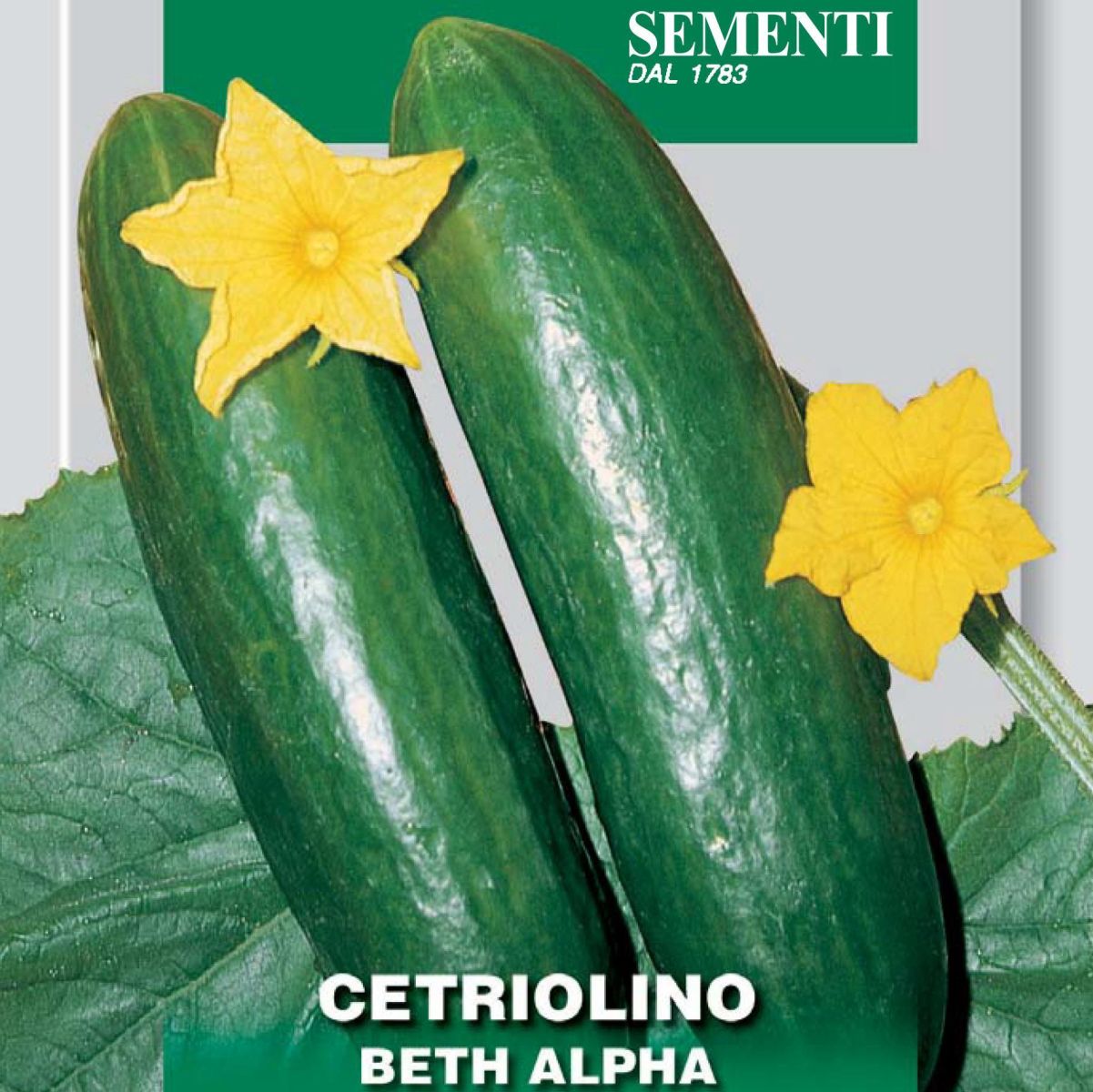 Einlegegurke Beth Alpha, Samen, Cucumis sativus L.