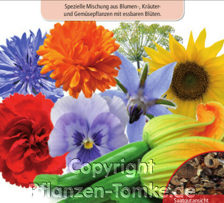 Essbare Blütenmischung, Spezielle Mischung aus Blumen, Kräutern und Gemüsepflanzen mit essbaren Blüten, Samen Dürr,Essbare Blütenmischung, Spezielle Mischung aus Blumen, Kräutern