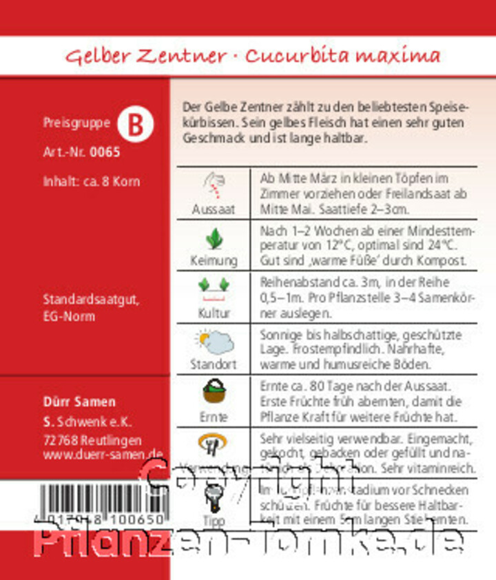 Gelber Zentner, Cucurbita maxima, Kürbis, Samen Infp,Gelber Zentner, Cucurbita maxima, Kürbis, Samen