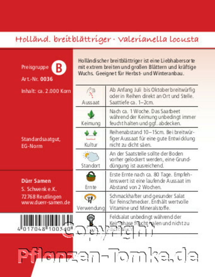 Holländischer breitblättriger Feldsalat Info,Holländischer breitblättriger Feldsalat, Valerianella locusta