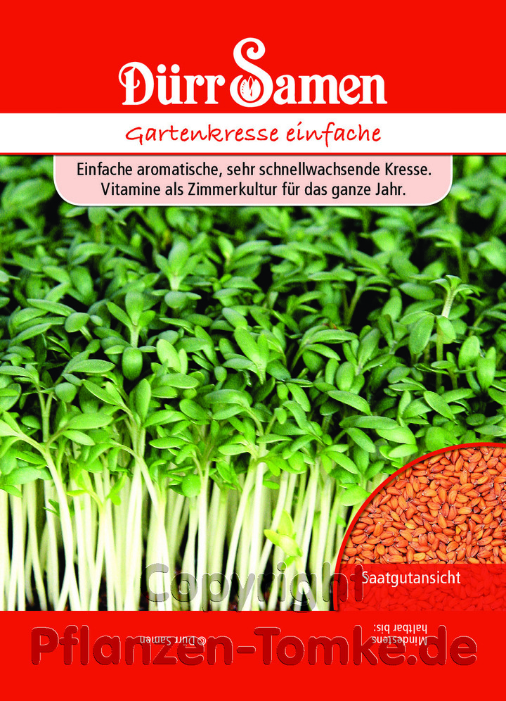 Gartenkresse einfache, Lepidium sativum, Samen, Duerr, Samentüte,Gartenkresse einfache, Lepidium sativum, Samen, Duerr