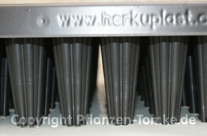 ,QuickPot Anzuchtplatte Dänenmaß im Set D144T/6R Mehrweg