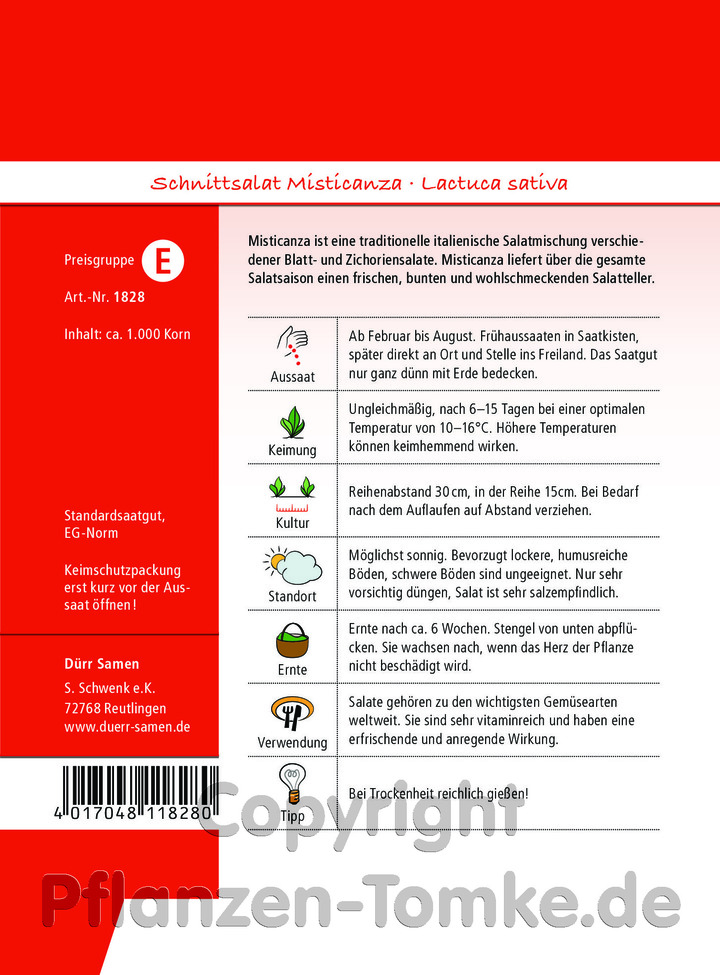 Schnittsalat Misticanza, Lactuca sativa, Italienische Babyleaf-Salatmischung, Samen Dürr, Sameninfo,Schnittsalat Misticanza, Lactuca sativa, Italienische Babyleaf-S