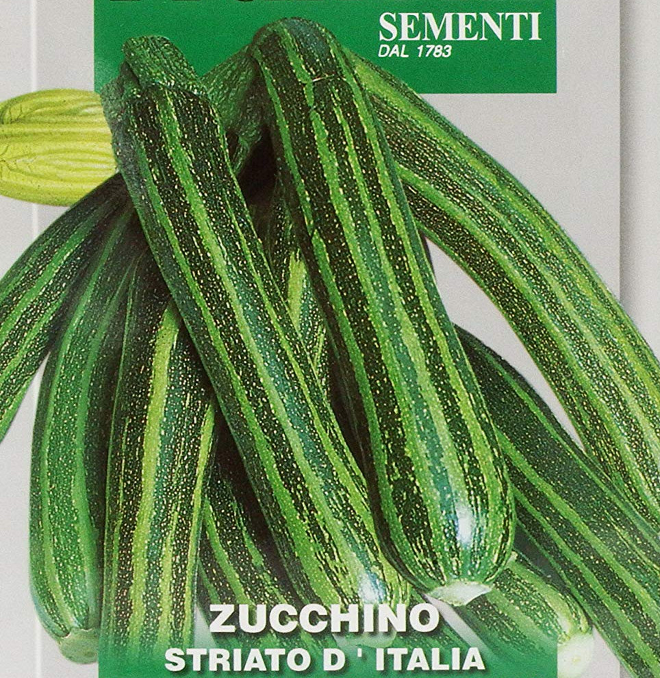 Zucchini Striato D'Italia, Cucurbita pepo L., Samen