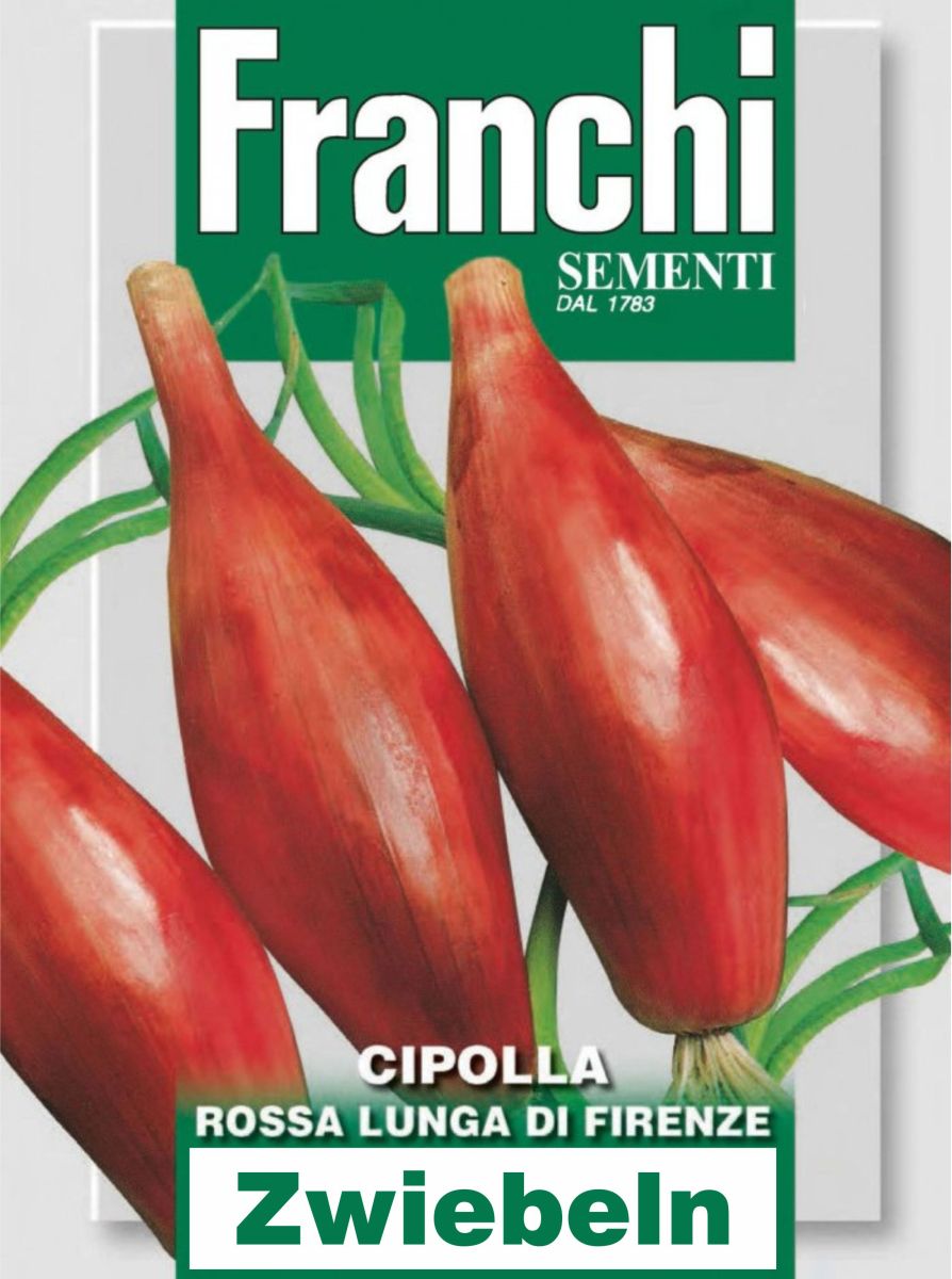 Zwiebel Rossa Lunga Di Firenze, Allium cepa L., Samentüte,Zwiebel Rossa Lunga Di Firenze, Allium cepa L.